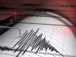 Hari Minggu Sore, Gempa Magnitudo 5,2 Guncang Halmahera Utara