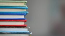 Perbedaan Kurikulum Merdeka dan Kurikulum 2013
